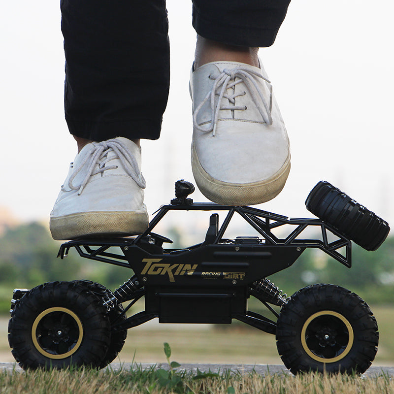Double Motors Remote Control Car