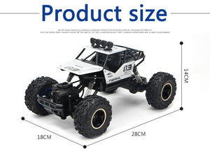 Double Motors Remote Control Car