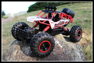 Double Motors Remote Control Car