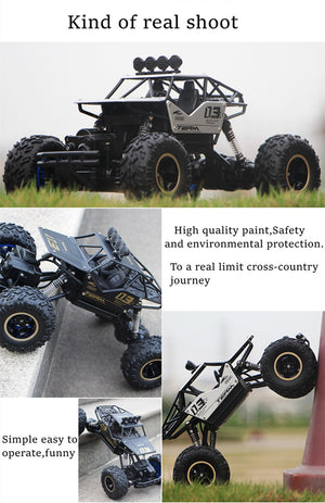 Double Motors Remote Control Car