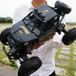 Double Motors Remote Control Car