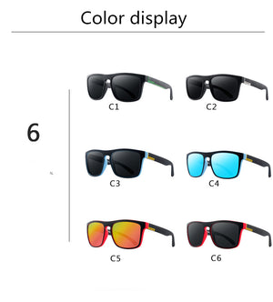 Polarized Sunglasses